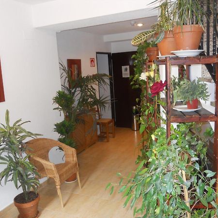 Hostal El Descanso マドリード エクステリア 写真